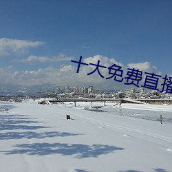 十(十)大免(免)费直播(播)平台