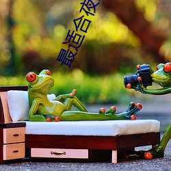 最(zuì)适合夜(yè)里看的(de)直(zhí)播