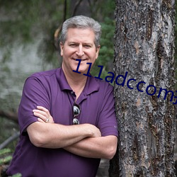 111adccom打不开了