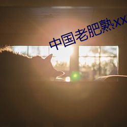 中国老肥熟xxxxx性 （选刊）