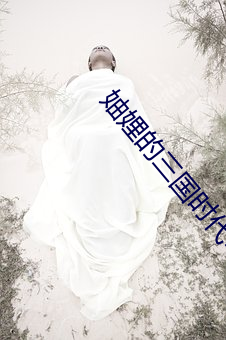 妯娌的三国时代电视剧剧情