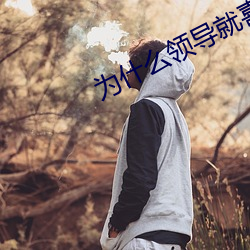 为(爲)什么领导(導)就喜欢(歡)蹭车