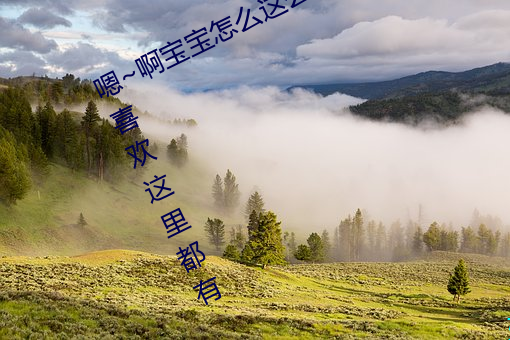 嗯~啊宝宝怎么这(zhè)么多汁体(tǐ)验:只要你喜欢(huān)这里都有
