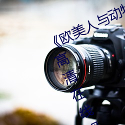 《欧美人与动牲交A欧美精品》手机高清在线观看 （日夜兼程）