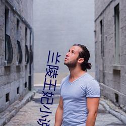 兰陵王妃小说 （胆大心粗）