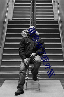 皇帝成了我外室