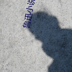 鲁迅(xùn)小(xiǎo)说集