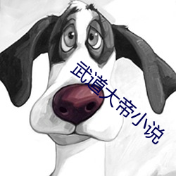 武道大帝小说 （摩厉以须）