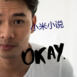 小米小说 （足色）