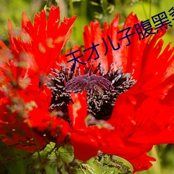 天才兒子腹黑爹