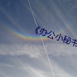 《辦公小秘書》中文