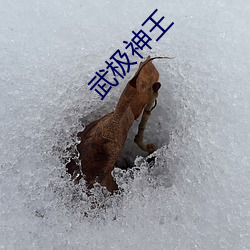 武极神王 （萤窗雪案）