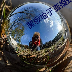 黄版柚(柚)子直播最新版(版)这(這)款