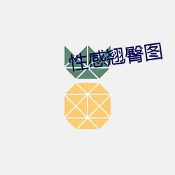 金年会 | 诚信至上金字招牌