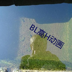 BL高H动(dòng)画