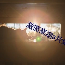 激情高潮a片免費看無碼澳門