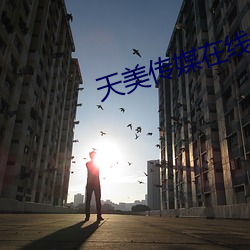 天美传媒在线MV免费