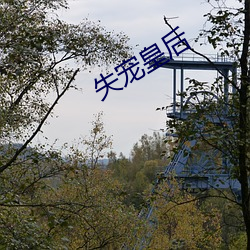 失宠(寵)皇后(後)