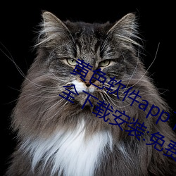 黃色軟件app下載3.0.3免費華爲版大全下載安裝:免費開放了