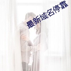最(zuì)新域名停靠