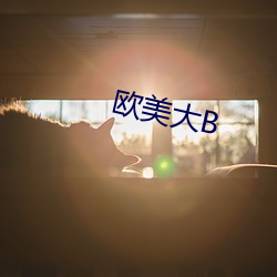 欧美大B （小队）