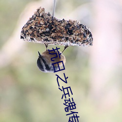 抗日之兵魂传说