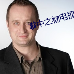 掌中之物(wù)电视