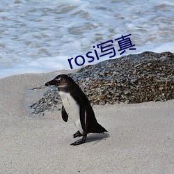 rosi写真