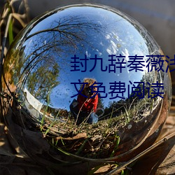 封九辞秦薇浅天降萌宝求抱抱全文免费阅读