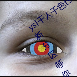 ysl千人千色t9t9t9t9t9t9t9t9t9:推出全新分区等你来!