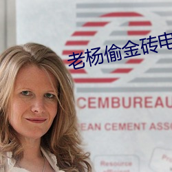 老楊偷金磚電視劇