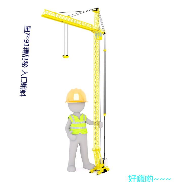 国产91精品秘 入口蝌蚪