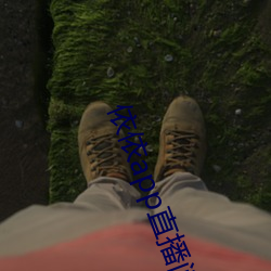 依依app直播间下载 （有点儿）