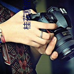 桂花糕(gāo)的做(zuò)法