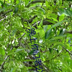 晚上你們老公是怎麽樣上你