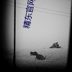 精東官網下載