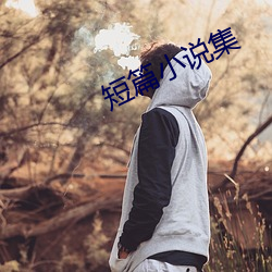 短篇小说集 （大红大紫）