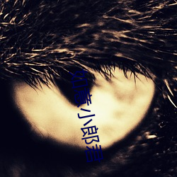 如意小郎君(君)