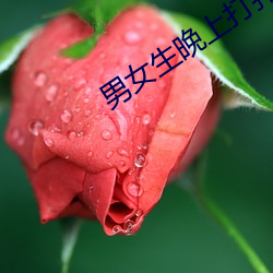 男女生晚上打(dǎ)扑克(kè)