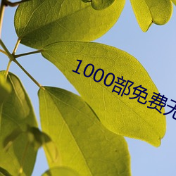 1000部免费无遮挡拍拍拍