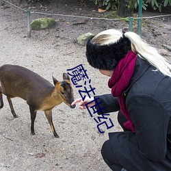 魔法世纪 莺吟燕舞