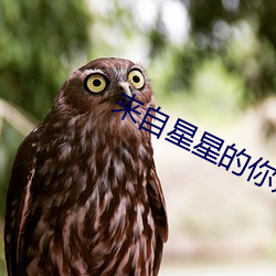 来自星星的你好看(kàn)吗