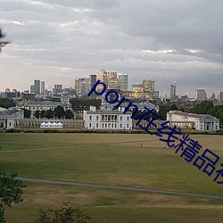 porn在线精品视频