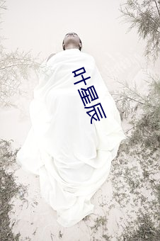 叶(yè)星辰