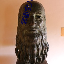 幸福宝入口色斑 （鹰视狼顾）