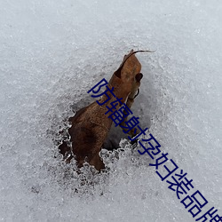 防辐射(射)孕(孕)妇(婦)装(裝)品牌