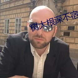 树大根深(深)不宿无名之鸟意思(思)