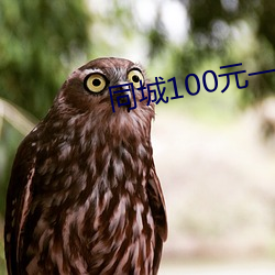 同城100元一晚