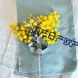 国产(chǎn)日(rì)产欧产精品(pǐn)精品蜜(mì)芽