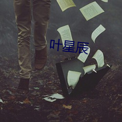 叶星辰 （铜浇铁铸）